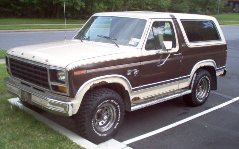 1981 Ford Bronco - This Ford Bronco SUV is parked on an asphalt surface with grass and trees in the background.