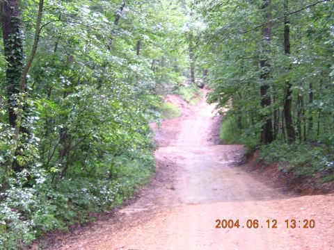 1984 Chevrolet Blazer - A dirt path winds through a dense forest, with a vehicle barely visible up ahead.