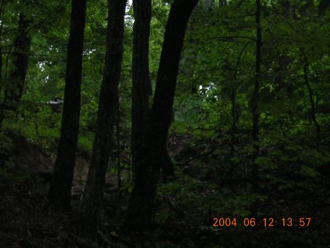 1984 Chevrolet Blazer - A dark vehicle is barely visible through the trees in this forest scene, with a timestamp of 2004.06.12.