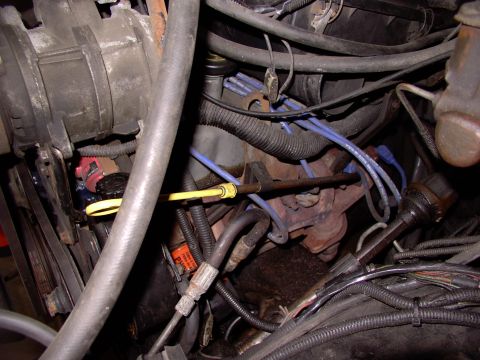 1986 Ford Bronco - Either side is a jungle of heat shields, plumbing, braces, engine pulling tabs,etc. It'll be a welcome relief from all these stock obstruct…