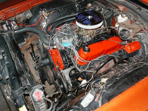 1979 Ford Ranchero - motor how it looks today, besides a new powersteering hose, and distributor cap