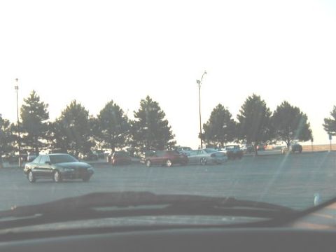 1997 Ford Taurus - A dark sedan is parked in a lot with other vehicles and trees in the background, viewed from the interior of another car.