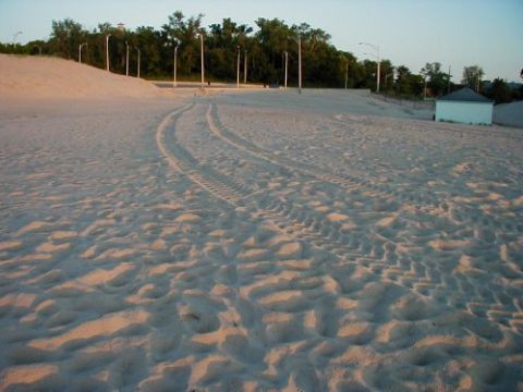 1997 Ford Taurus - Tire tracks mark a path across the sandy terrain under a clear sky.