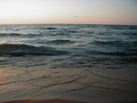 1997 Ford Taurus - Sunset over the ocean with waves and birds. Supermotors.net logo visible.