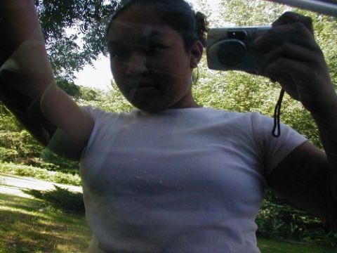 1997 Ford Taurus - Self-portrait taken from inside a vehicle, reflecting the person and camera.