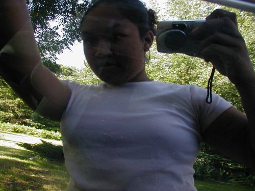 Person holding a camera to take a selfie in a car, with trees visible outside