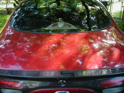 1997 Ford Taurus - The rear of a red car is shown, with reflections obscuring details of the paint and glass.