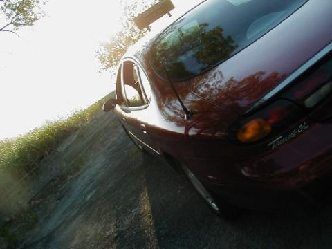 More pics