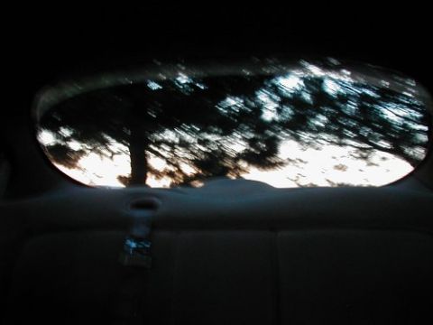 1997 Ford Taurus - View through the rear window of a car, showing trees and sky at dusk.