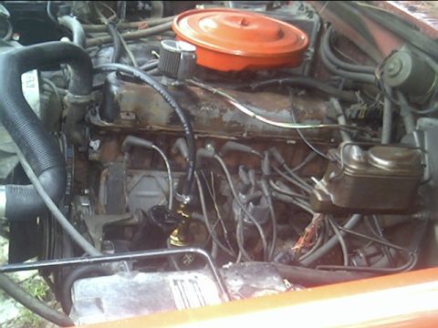 1985 Ford Bronco - A view of the engine bay, an orange air cleaner and numerous spark plug wires.