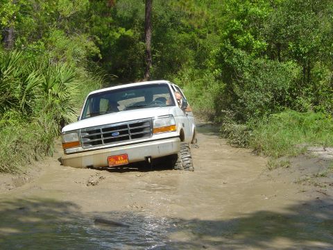 1993 Ford Bronco - A white Ford truck navigates a muddy trail, with its front tires partially submerged.