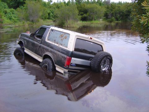 1993 Ford Bronco - A 1993 Ford Bronco is partially submerged in murky water surrounded by vegetation.
