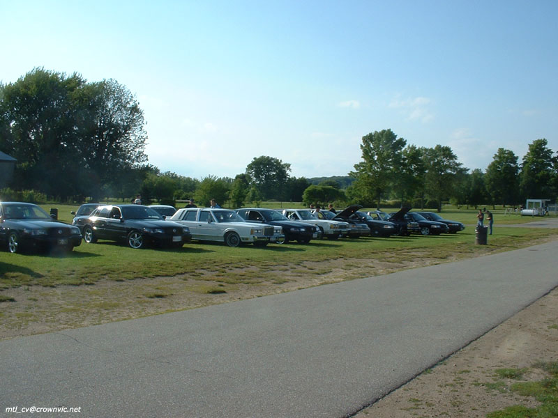 Row of black and white full-size Ford sedans parked on grass at an outdoor meet, hoods up