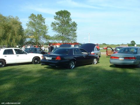 2000 Ford Crown Victoria - A dark blue Ford Crown Victoria with its hood raised sits on grass at an outdoor club meet, flanked by a white Crown Victoria on the left a…