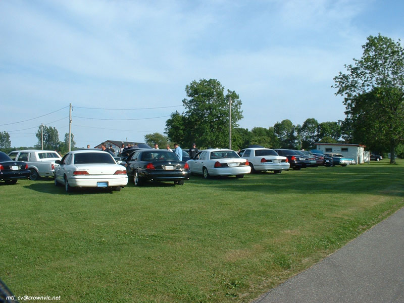 Rear view of a long row of white and black full-size sedans parked on grass at a car meet
