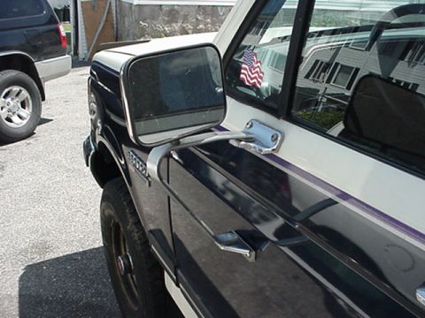 1989 Ford Bronco - Close-up of the side mirror and door panel of a 1989 Ford Bronco, showing a purple stripe detail.