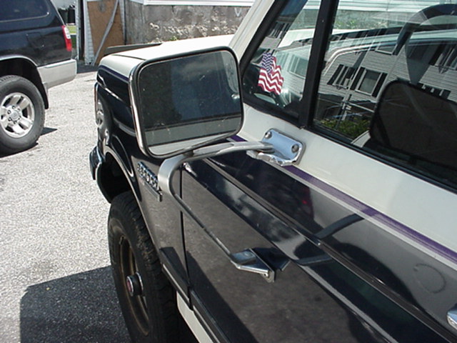 1989 Ford Bronco side mirror and door panel with purple stripe