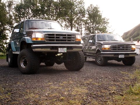 1996 Ford Bronco - Two Ford trucks, a Bronco and an F-150, are parked side-by-side on a gravel lot with trees in the background.