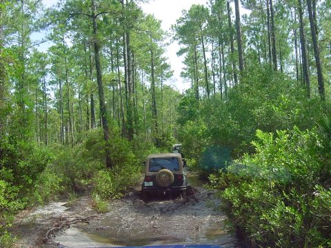 1986 Ford Bronco - Two off-road vehicles navigate a muddy path surrounded by dense forest vegetation.