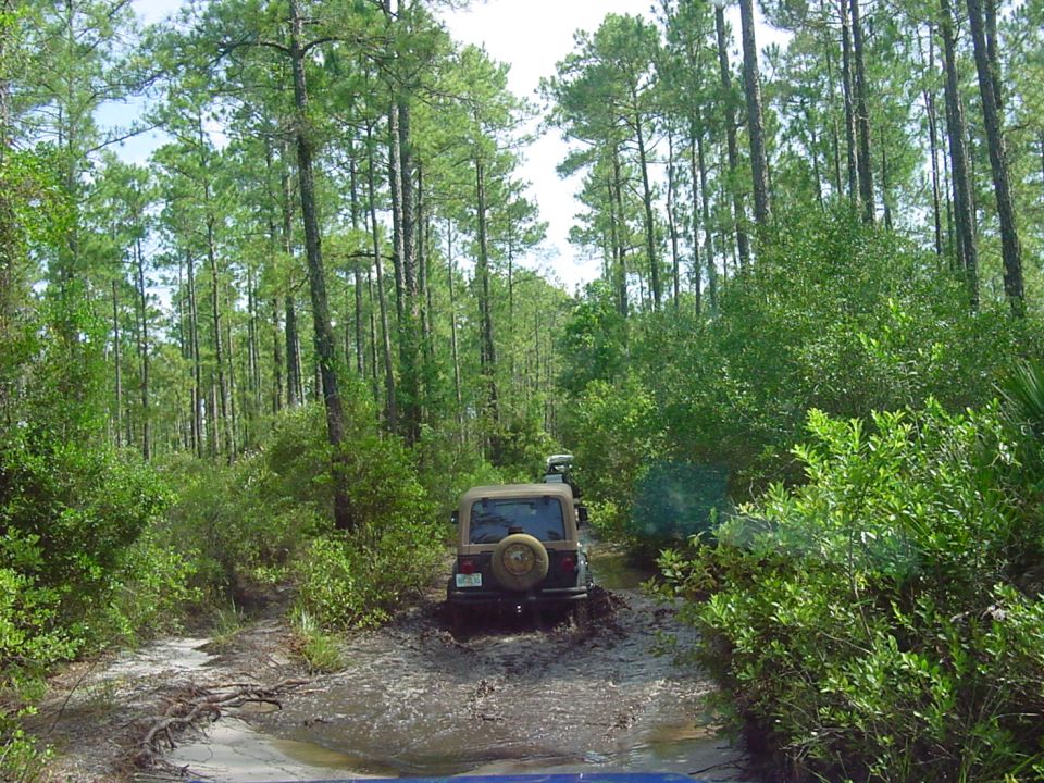 Jeep Wrangler driving through mud on a wooded trail. Another vehicle is visible ahead