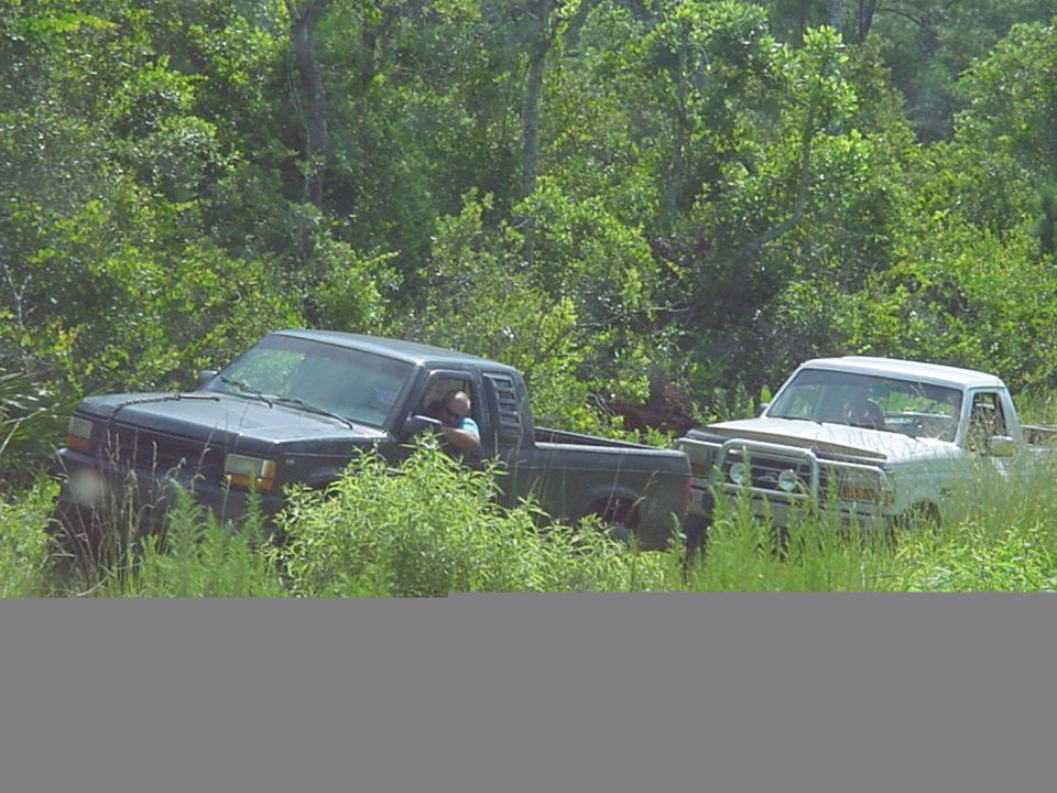 Dark pickup truck with a driver, and a white pickup truck with a bull bar, partially obscured by foliage