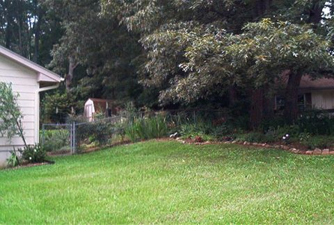 1985 Ford LTD Crown Victoria - outside of yard showing landscaping
