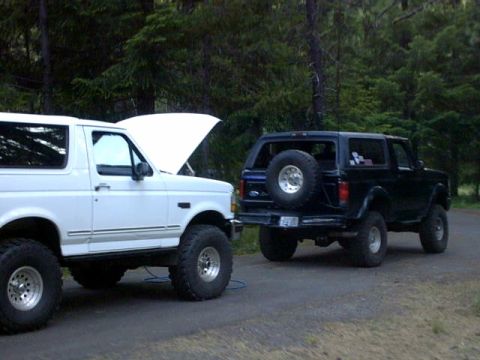 1995 Ford Bronco - Alvey < > Me