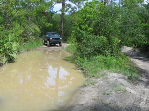 1992 Ford Bronco - A dark pickup truck navigates a muddy trail through a wooded area.