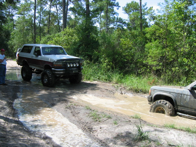 Lifted silver and maroon Ford Bronco beside muddy trail puddle in pine woods