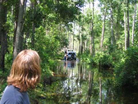 1992 Ford Bronco - Two SUVs navigate a waterlogged path surrounded by dense trees and lush vegetation.