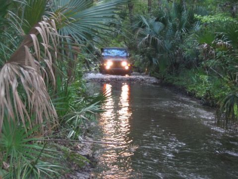 1992 Ford Bronco - A Jeep Wrangler navigates a water-filled path surrounded by lush vegetation.
