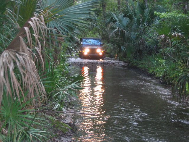 Dark Jeep Wrangler with headlights on wading a flooded palmetto-lined trail