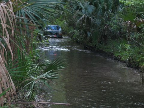 1992 Ford Bronco - A 1992 Ford Bronco navigates a water-filled path through a lush, green jungle environment.