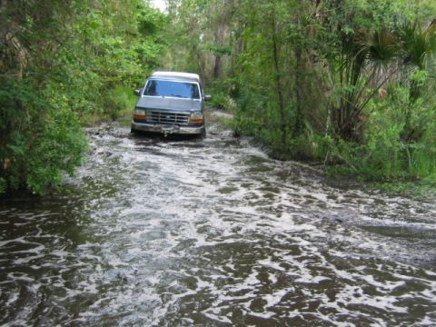 1992 Ford Bronco - Van navigates a water-filled path surrounded by dense vegetation.