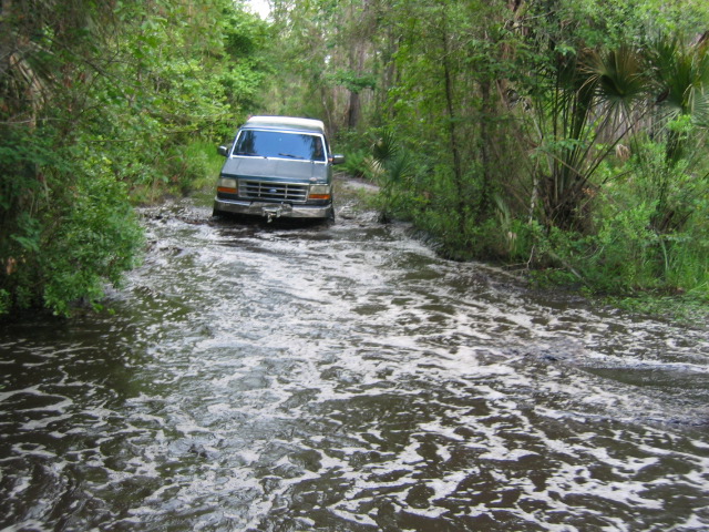 Silver Ford 4x4 with white roof crossing a flooded palmetto trail, water spraying at the bumper