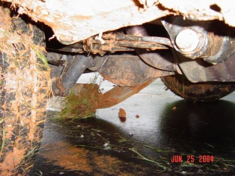 1986 Ford Bronco - Undercarriage of a vehicle covered in mud and grass, with a water puddle below.
