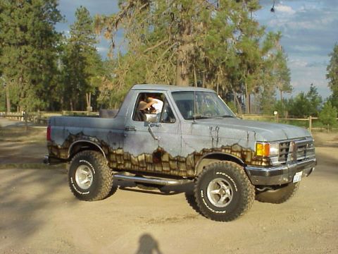 1989 Ford Bronco - This lifted Ford Bronco features a unique paint job and off-road tires, seen parked on a dirt road.