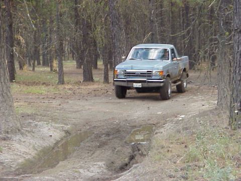 1989 Ford Bronco - Light blue Ford F-150 pickup truck navigates a dirt road through a forest.