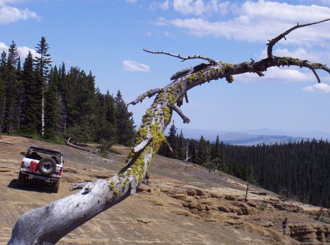 1982 Ford Bronco - Mark Moonrocks 1