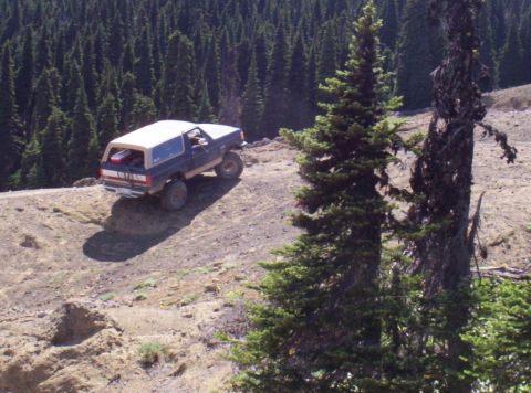 1982 Ford Bronco photo