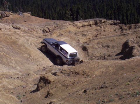 1982 Ford Bronco photo