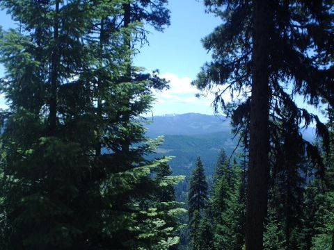 1978 Ford Bronco - A scenic view of mountains and evergreen trees under a clear blue sky.