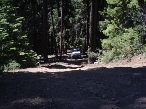1978 Ford Bronco - A 1978 Ford Bronco navigates a challenging dirt path surrounded by tall trees.