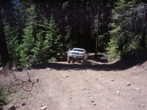 1978 Ford Bronco - A white 1992 Ford Bronco navigates a dirt path through a dense forest.