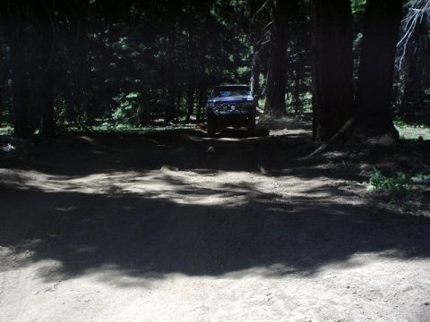 1978 Ford Bronco - 1978 Ford Bronco navigates a wooded trail.