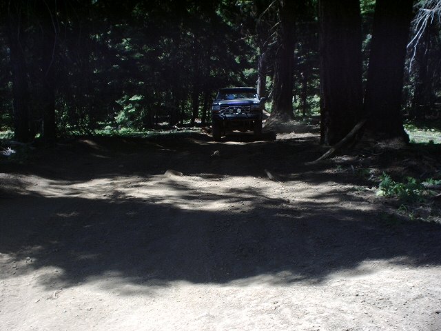 1978 Ford Bronco driving on dirt road in forest