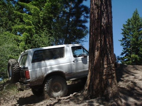 1978 Ford Bronco - This SUV, likely from the 1980s, is shown off-roading on a dirt path, with a large tree trunk partially obscuring the view.
