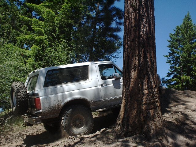 Silver SUV with spare tire on rear, navigating rough terrain near a large tree