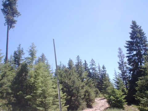 1978 Ford Bronco - A tall antenna pole stands against a bright blue sky, surrounded by dense evergreen trees.