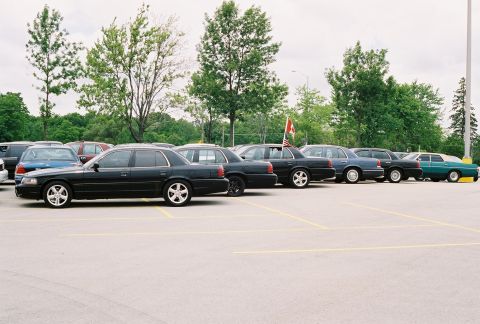 1998 Ford Crown Victoria - A line of black 1998 Ford Crown Victoria sedans are parked side-by-side in a parking lot under a cloudy sky.